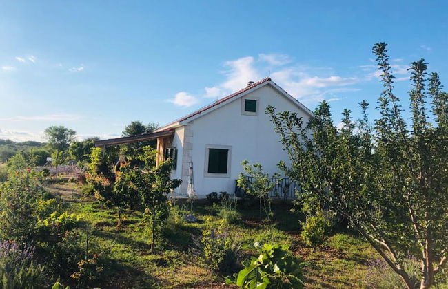 New Modern House in a Quiet Island Area w. Garden - Foto 28