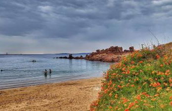 Concas Apartaments - Foto 42