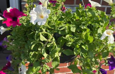 Heidehof Oberhaverbeck - Foto 33