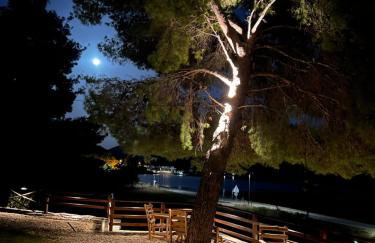 Pinelopi’s House - Foto 31