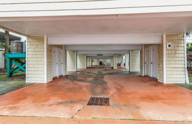 Island palms - Foto 31