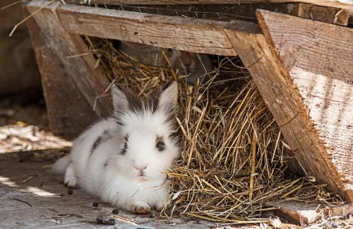 Azienda Agrituristica Bergi - Foto 75