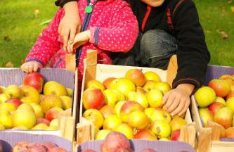 Harzer Feriengarten - Foto 26