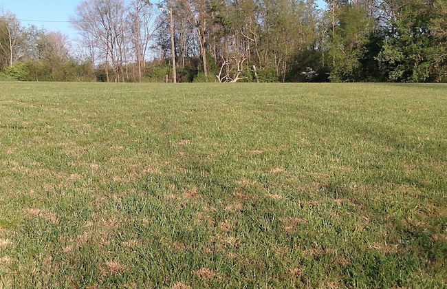 Cook Road Farmhouse - Foto 14