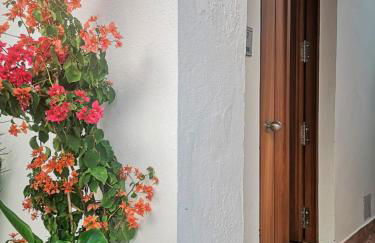 Erizo 3 loft diafáno en el Centro Histórico - Foto 1