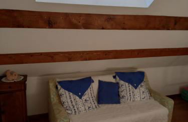 le héron cendré - Foto 14