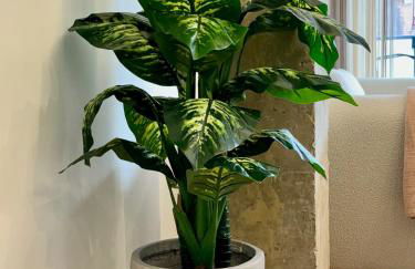 La terraza de quintana - Foto 29