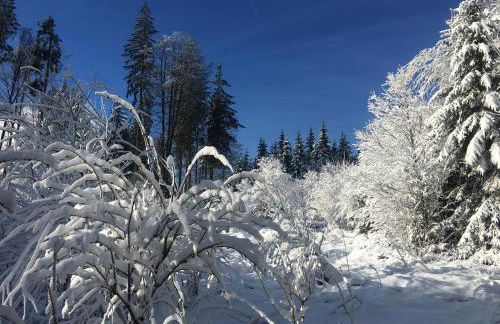 weitnaustyle - renoviert, modern, allergikerfreundlich - Photo 64