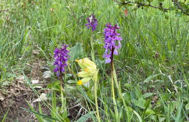 Ferienwohnung am Kalkweg - Foto 25