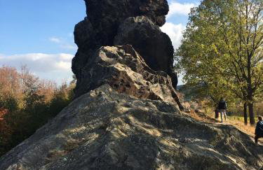 Harzvorland-Auszeit für Zwei & 1 Hund & Natur inklusive - Foto 22