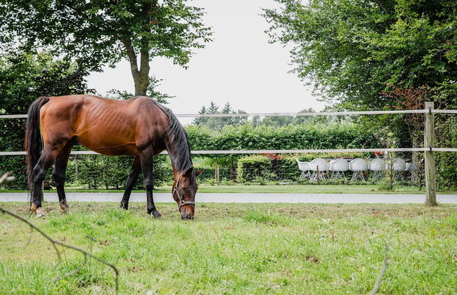 House in Leenderstrijp Near Leenderbos Trails - Foto 33