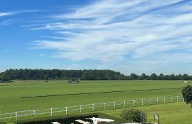 Gut Aspern Polohof - Foto 73