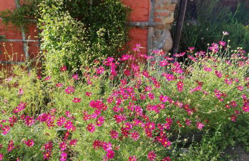 Folwark Malinowy Chruśniak - Foto 51