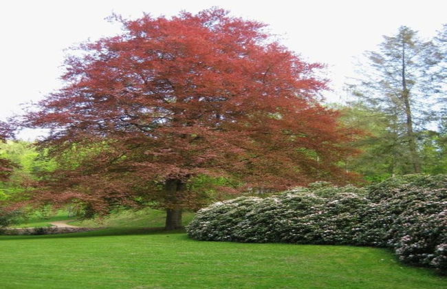 Bad Elster Apartment in Sohl - Foto 34