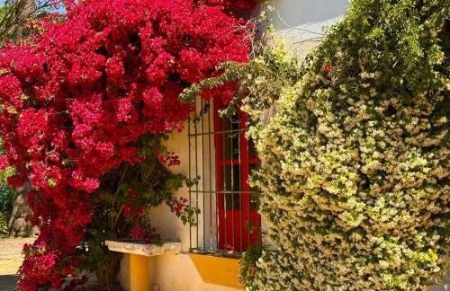 Hacienda Don Rodrigo - Foto 31