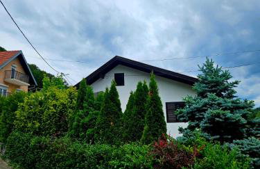 Sweet Spot Holiday home 700 m from Terme - Foto 32