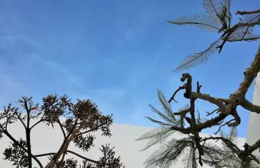 Exclusiva casa con encanto en Agua Amarga - Foto 24