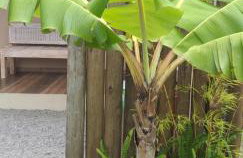 Casa Natturvibe - Praia do Rosa - Foto 28