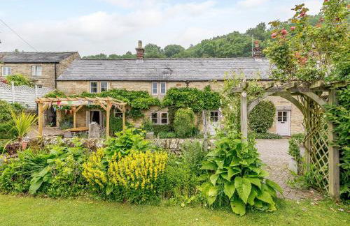 Sitch Farm - Foto 24