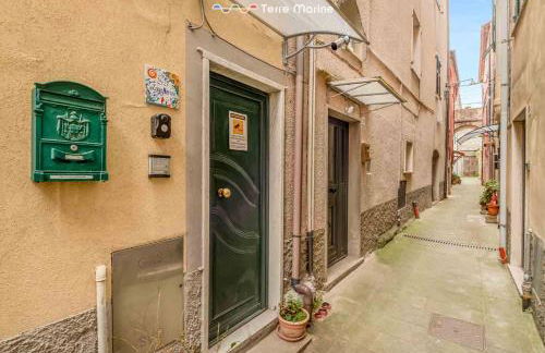 Laya Marina, Terre Marine - Photo 11