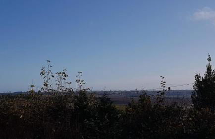 D'Artagnan - Foto 21