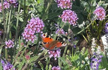 The Coach House - Foto 44