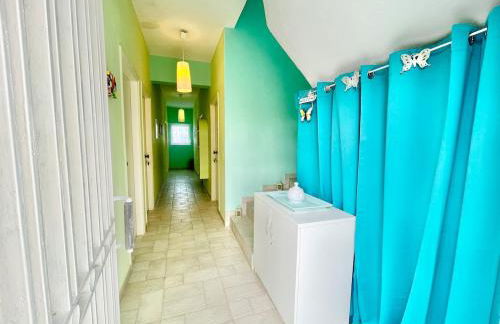 BLE, Oneiropagida, Aegina - Foto 25