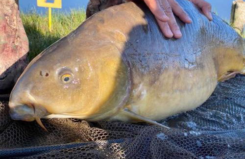 Dom w lesie przy stawach - Foto 57