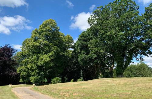 The Old Stables - Photo 71