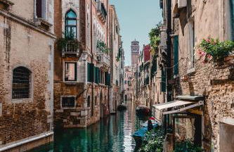 The judas trees - Foto 33