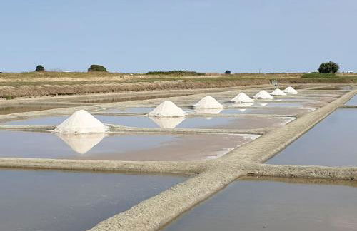 Maison 4 chambres 10 personnes plage à pied à 300 m - Foto 74