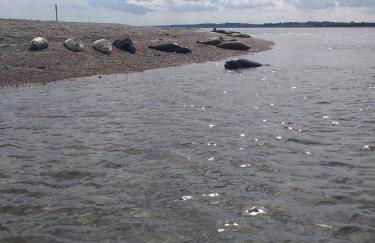 The Warren Chalet - Foto 23