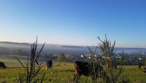 Ferienhaus Eifelperle - Foto 4