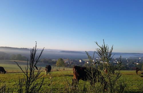 Ferienhaus Eifelperle - Foto 4