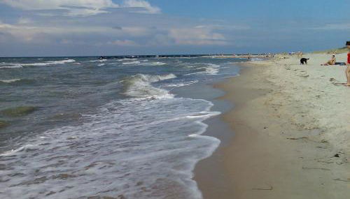 Bungalow Ostseebad Ahrenshoop Feldweg 23 - Foto 3