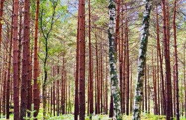 Le Royal Deluxe Fontainebleau Centre #Chateau #Insead - Foto 42