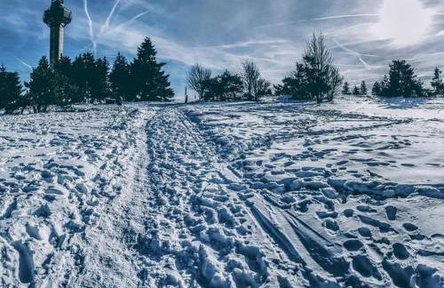 Apartment in Goddelsheim mit Eigener Terrasse by Interhome - Photo 22