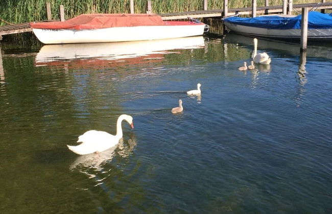 Nagelsmederij in het Huis Waldwinkel - Foto 18