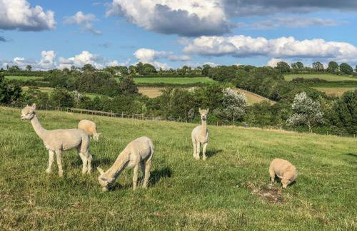 Potters Barn - Photo 23