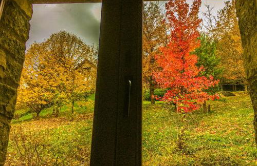 IKUILU Ochagavia-Selva de Irati - Foto 25