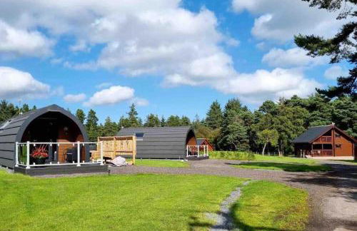 Norwegian Log Cabin The Roe Deer -sauna & hot tub - Foto 27