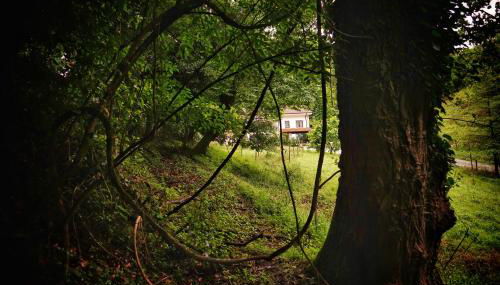 El Tujo - Foto 4, Garden view