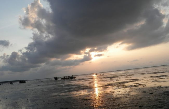 6 Pers House Marijke With Winter Garden and Direct Access to the Lauwersmeer - Foto 29