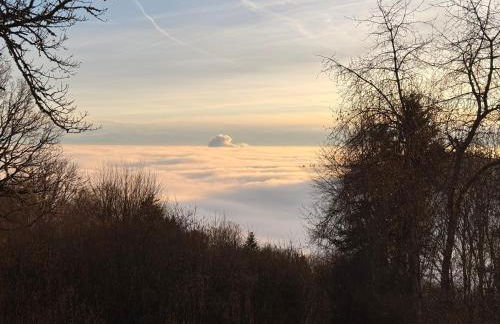 Kuckucksnest - Foto 35