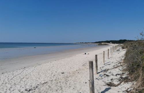 Les Cerisiers du Rouz - Foto 14