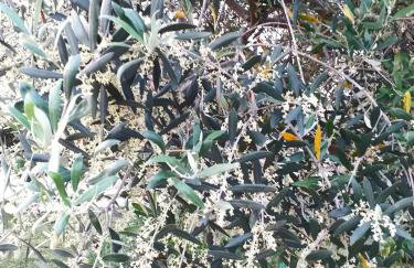 Apartments Relax Zone - Foto 80