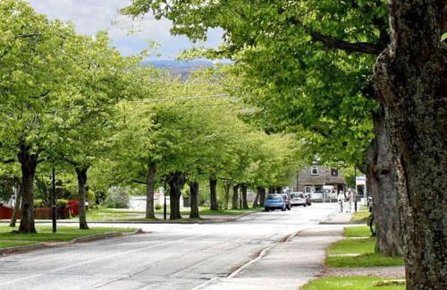 House - Sleeps 8 - Pets Ok - Parking - Foto 19