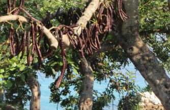 I&J Relaxing Beach Apartments - Foto 38