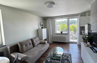 Apartament Chełmiec przy Szczawnie-Zdrój - Foto 20