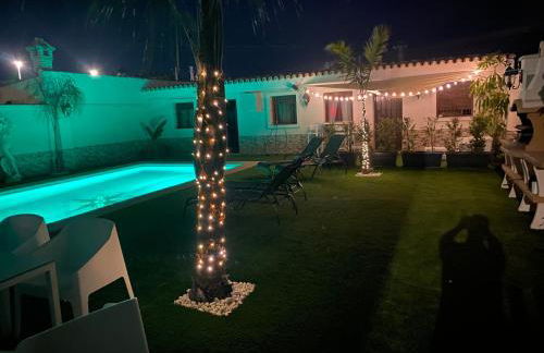 Musa del Paraíso - Foto 14